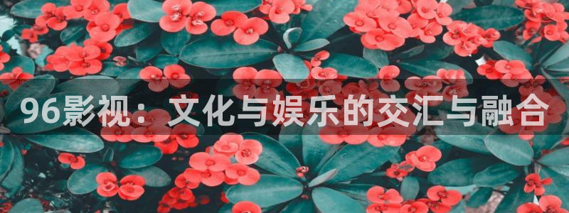 飘零电影在线：96影视：文化与娱乐的交汇与融合