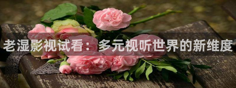 飘零影院2020：老湿影视试看：多元视听世界的新维度