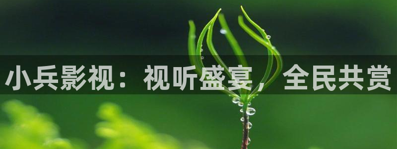飘零电影网手机观看：小兵影视：视听盛宴，全民共赏