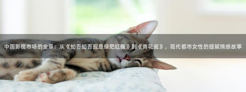 飘零影院最新电视剧免费追剧