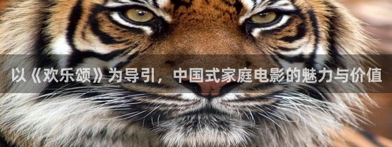 飘零影院免费在线看剧