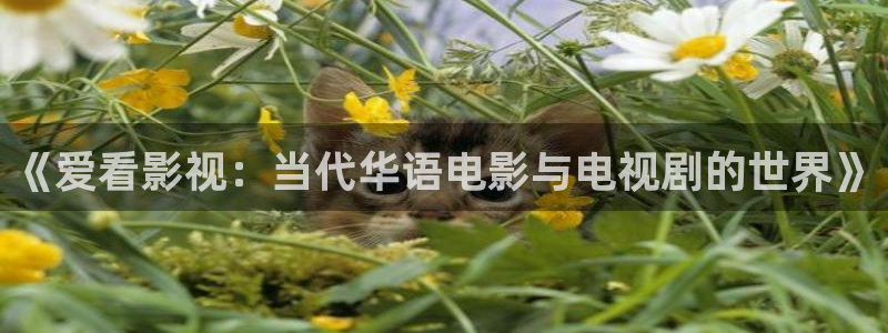 飘零影院在线观看免费播放电视剧