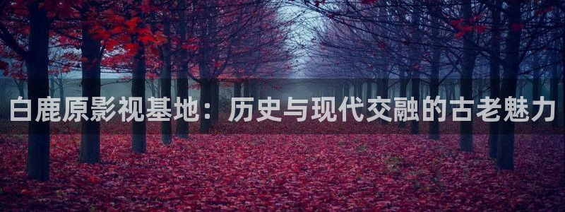 飘零午夜电影