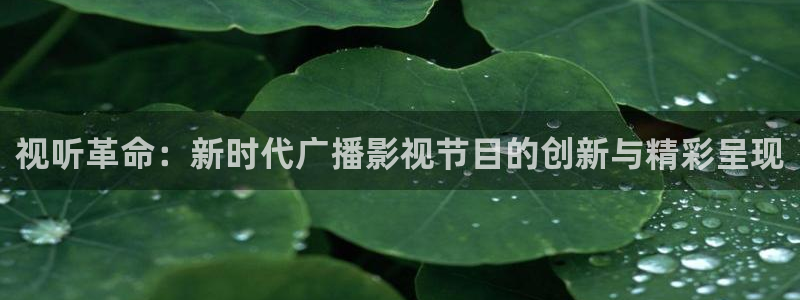 飘零影院在线观看免费播放电视剧