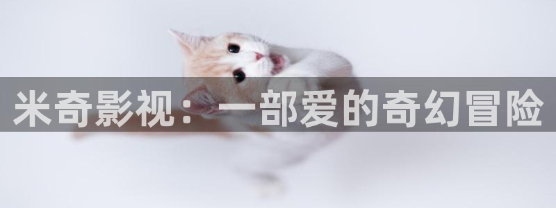 飘零影院在线看