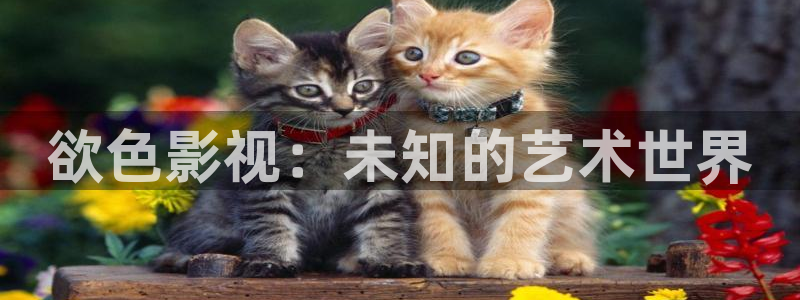 飘零福利影院